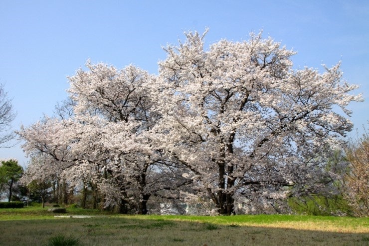 보호된 글: 250406 주간 일기