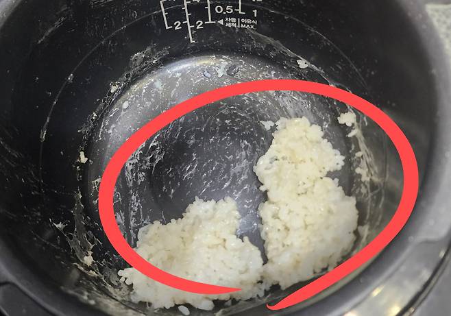 “무심코 놔뒀는데” 밥 남아서 ‘밥솥 보온’했다가 낭패…당장 꺼내야 한다고? [지구, 뭐래?]