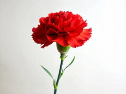 보호된 글: 250510 주간일기