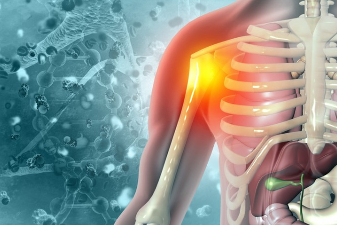 장내미생물, 원인 불명 만성통증 치료 효과 확인