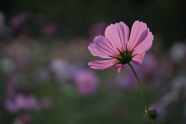 보호된 글: 250913 주간일기