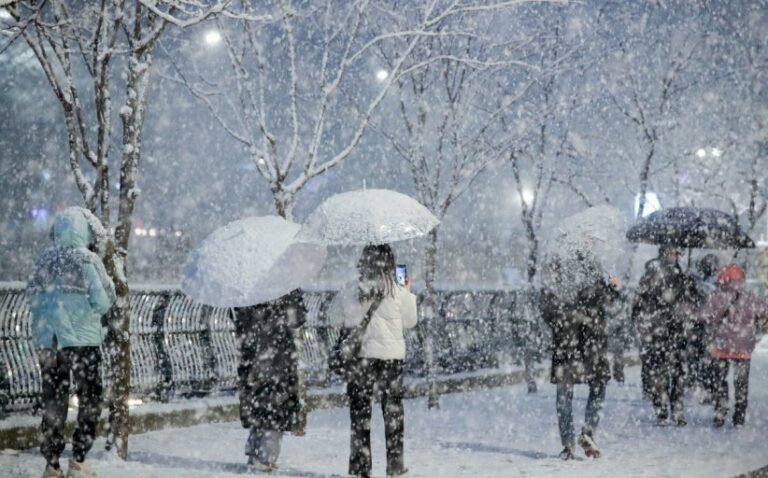 보호된 글: 251206 주간일기