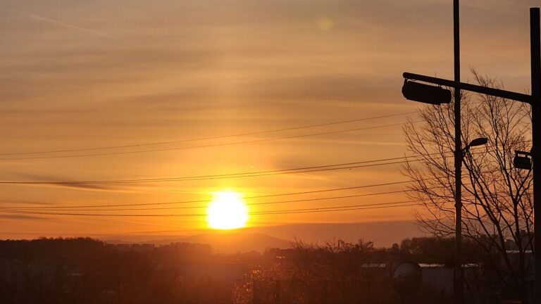 보호된 글: 260104 주간일기