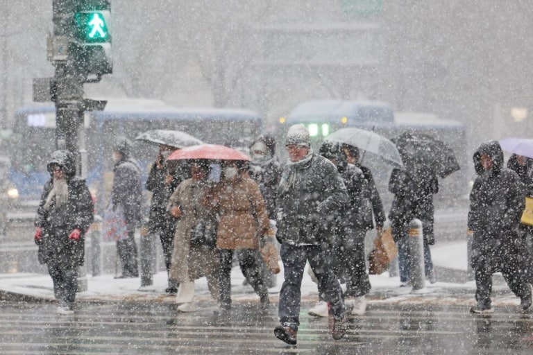 보호된 글: 260125 주간일기